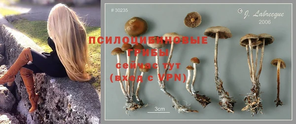 apvp Липки